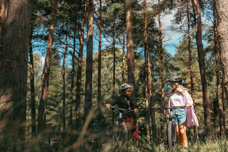 Cyclists in a woodland setting