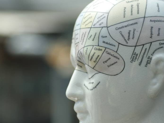 Phrenology head statue