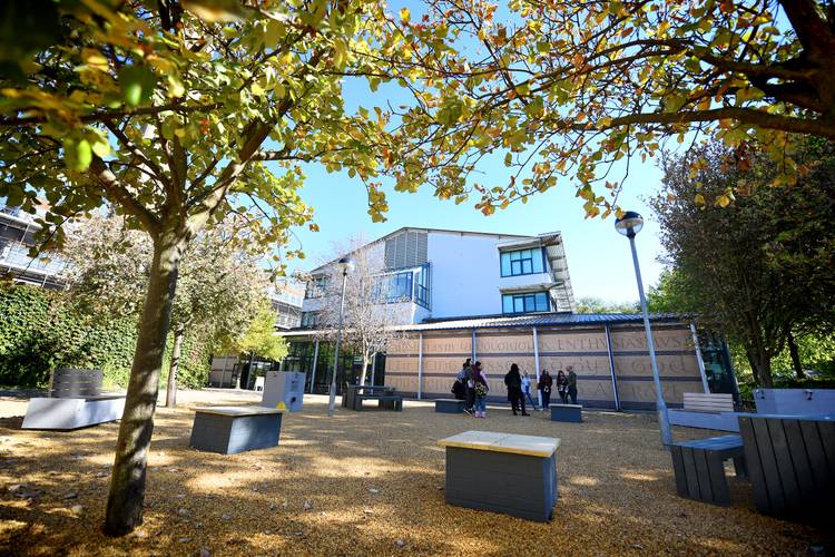 Art's building exterior through the trees on a sunny, bright day