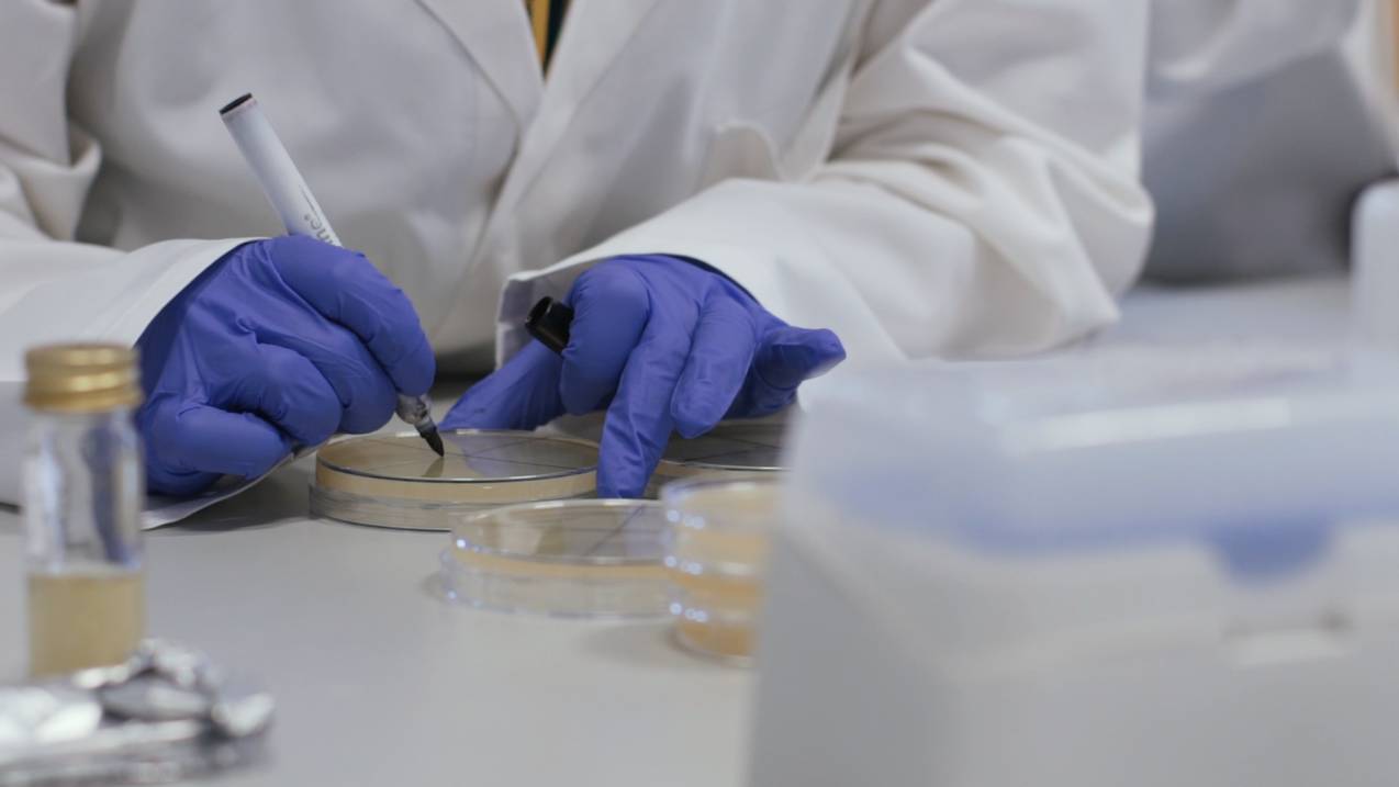 Close-up of student writing on petri dishes