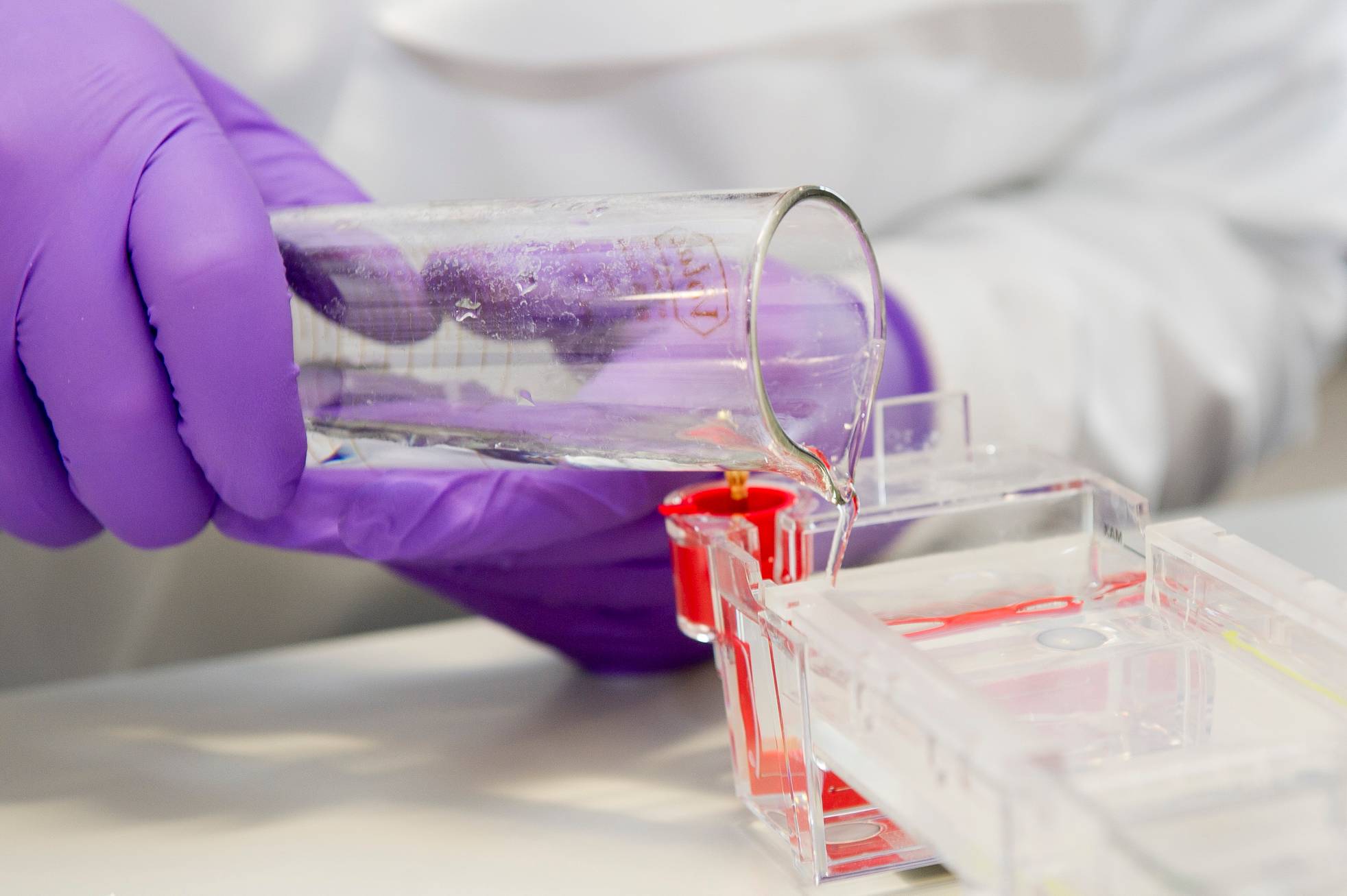 Close-up of liquid being poured from a test tube