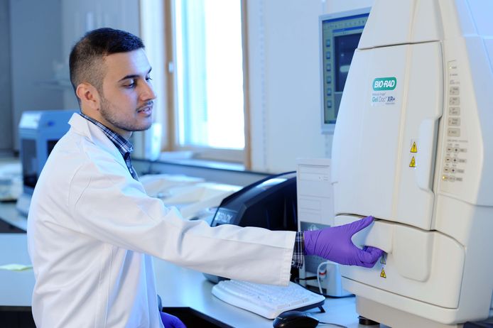 A student working in a laboratory