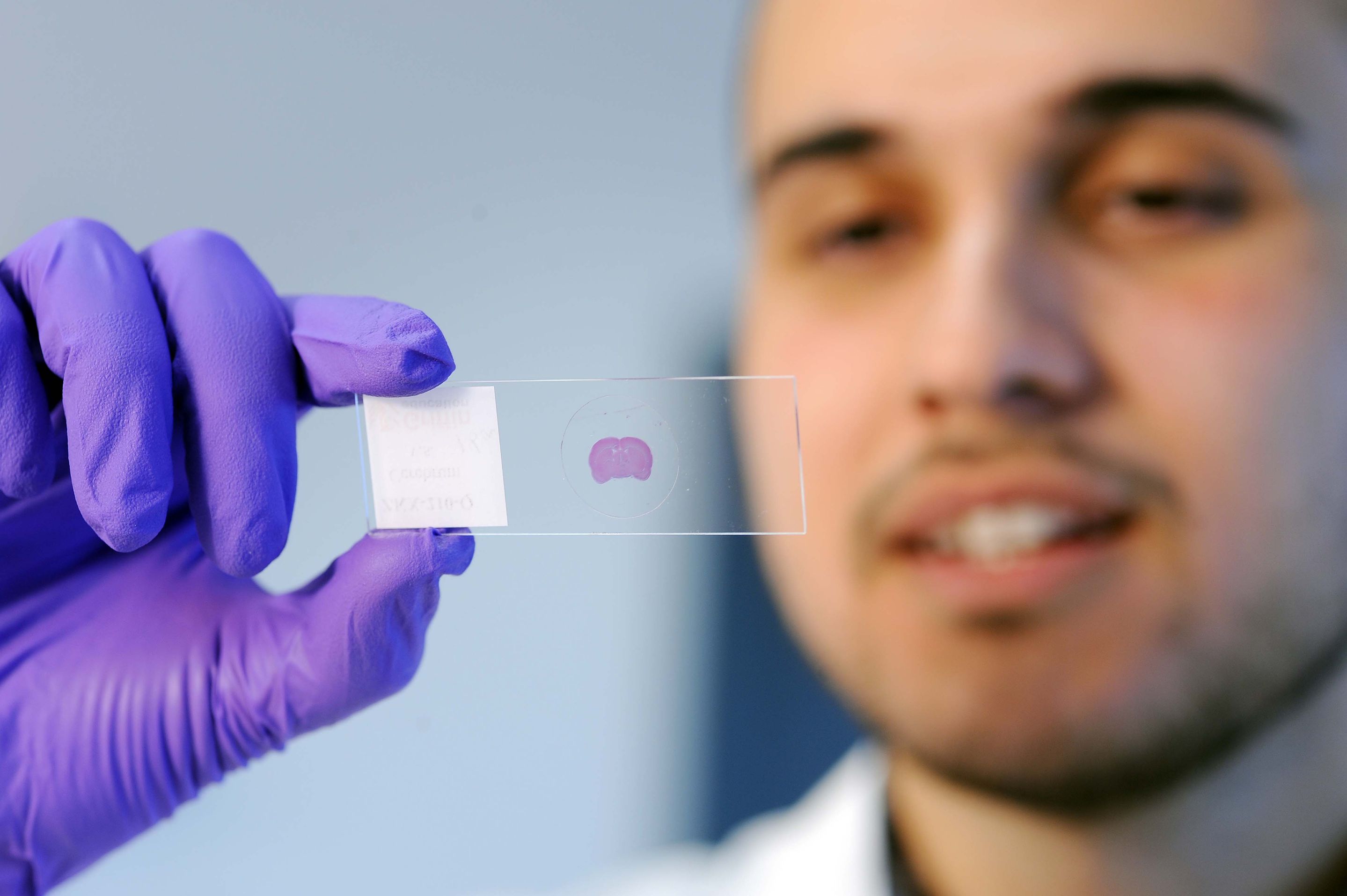 Close-up of a student holding a microscope slide