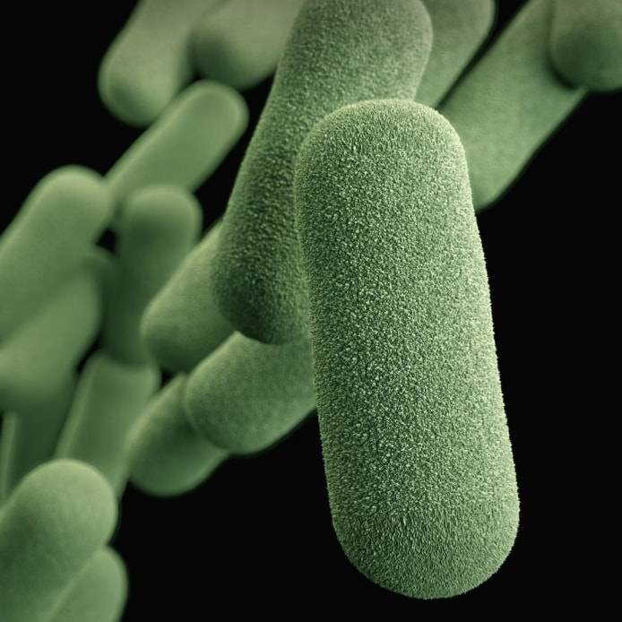 FdSc Forensic Sciences