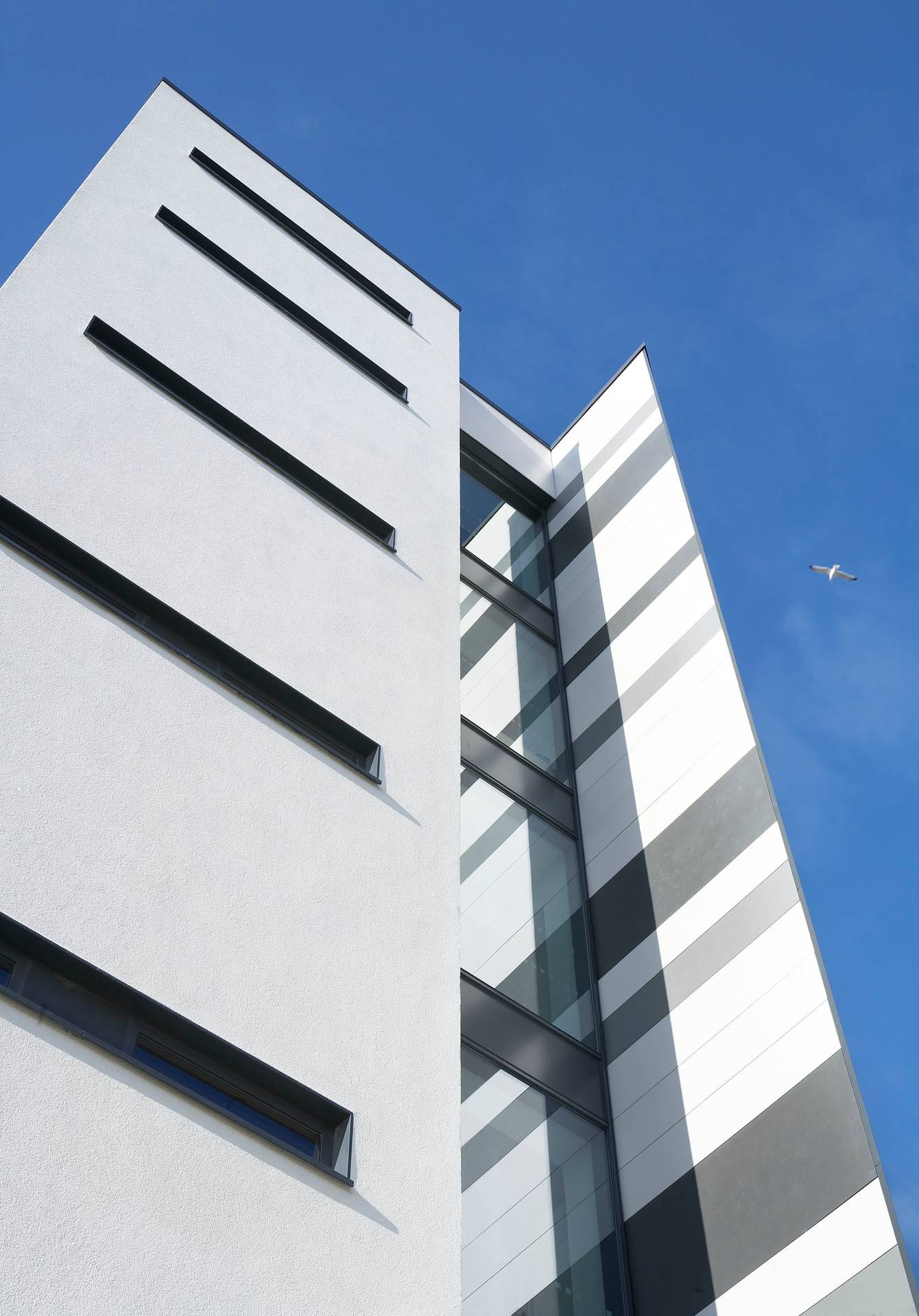 Close-up of the exterior walls of the James Hehir Building