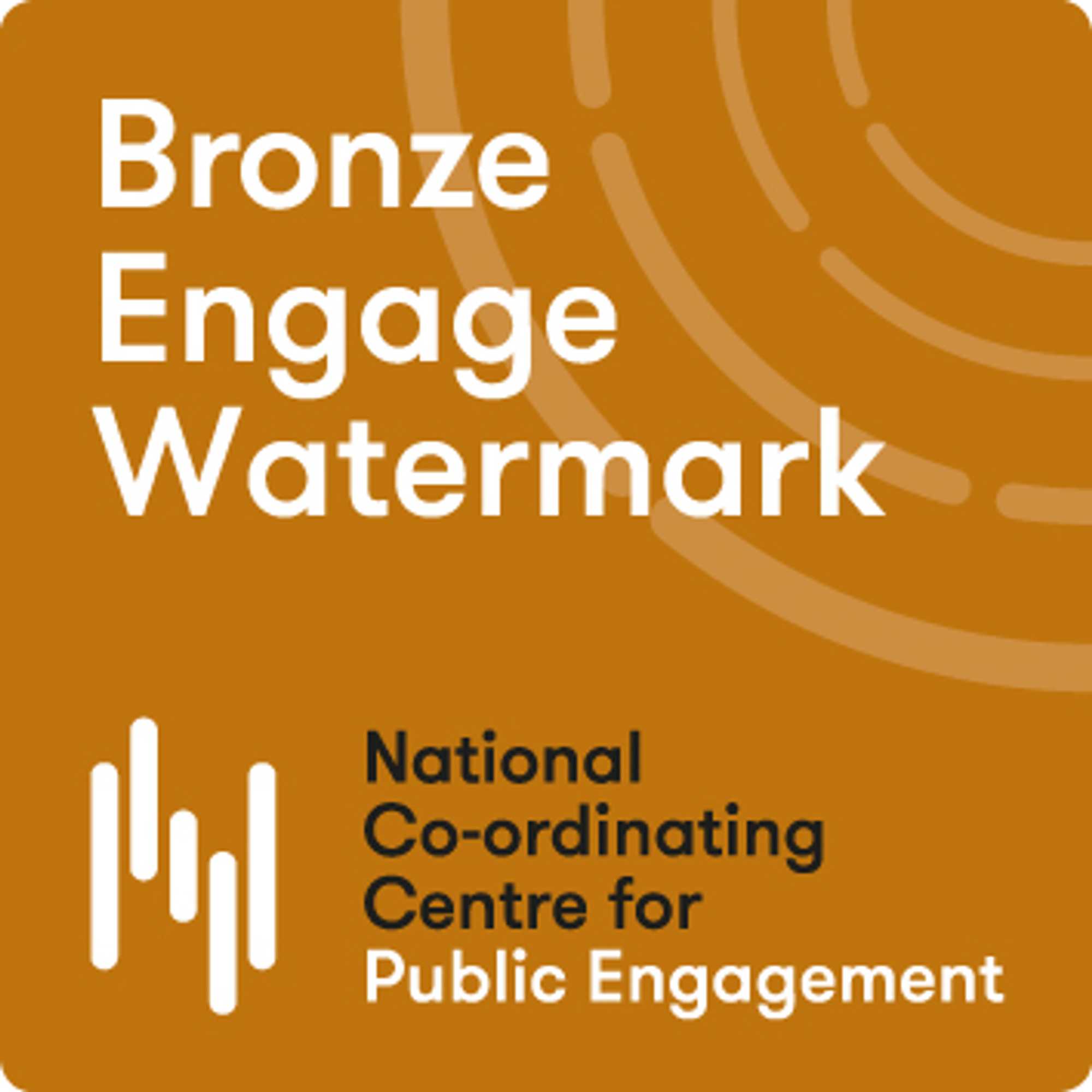 Bronze Award for Public Engagement