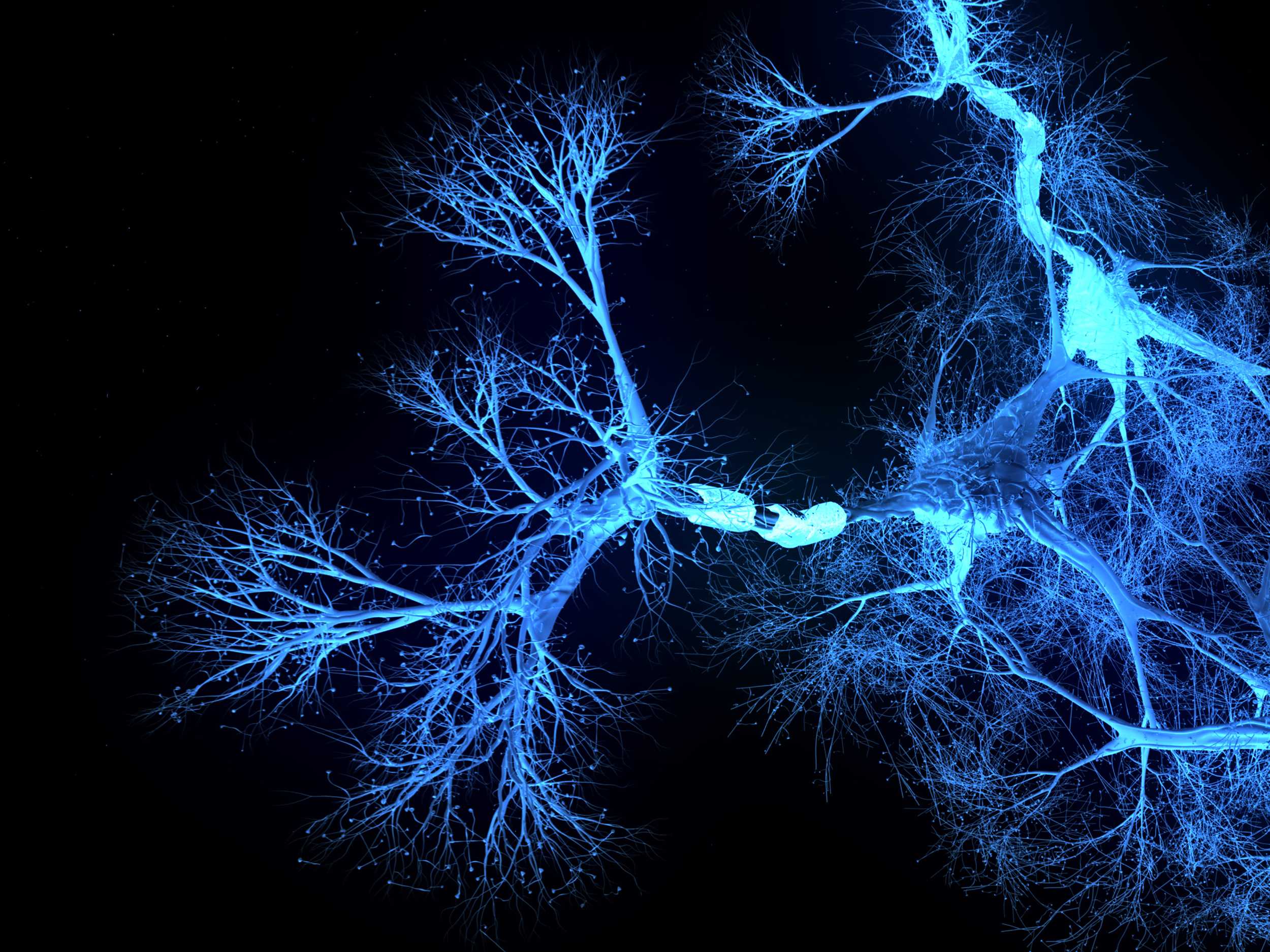 Neuron system