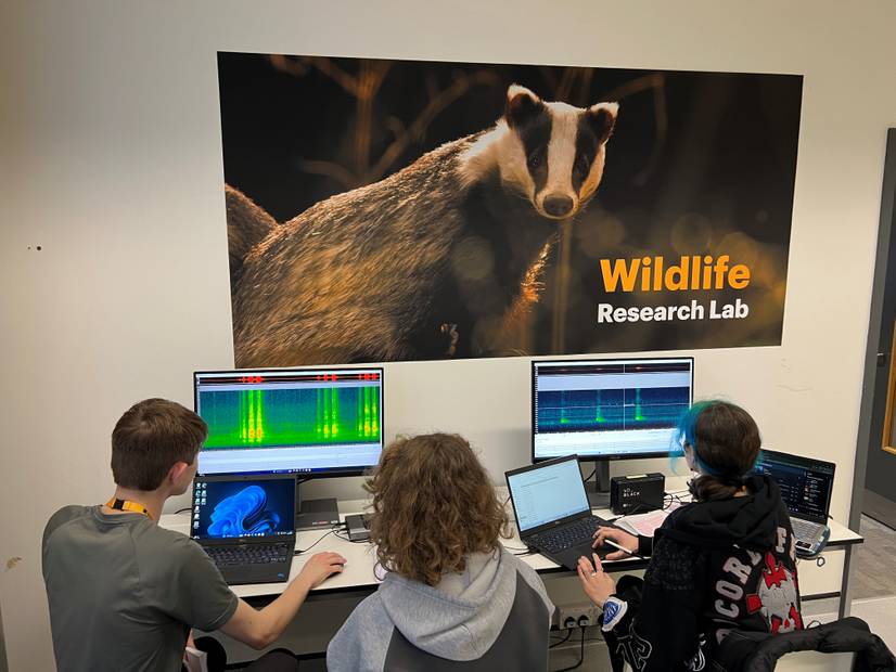Left to right: University of Suffolk Wildlife, Ecology and Conservation Science students Daniel Beckett, Grace Tinklin and Skye Landells analysing the audio recordings (photo credit: Mark Bowler)